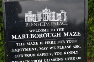 Blenheim Palace maze