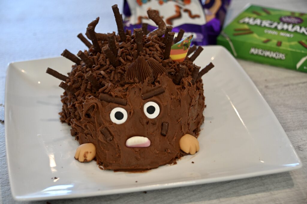 Scary hedgehog cake