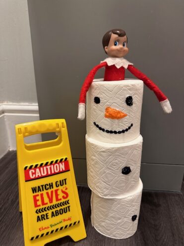 toilet roll elf