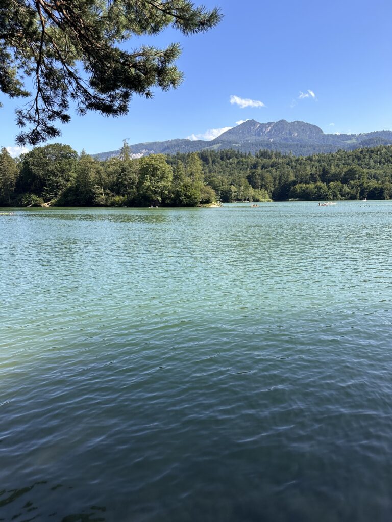 Lake in Austria
